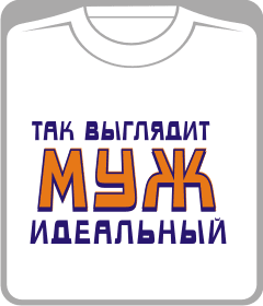 Прикольные футболки: так выглядит идеальный муж